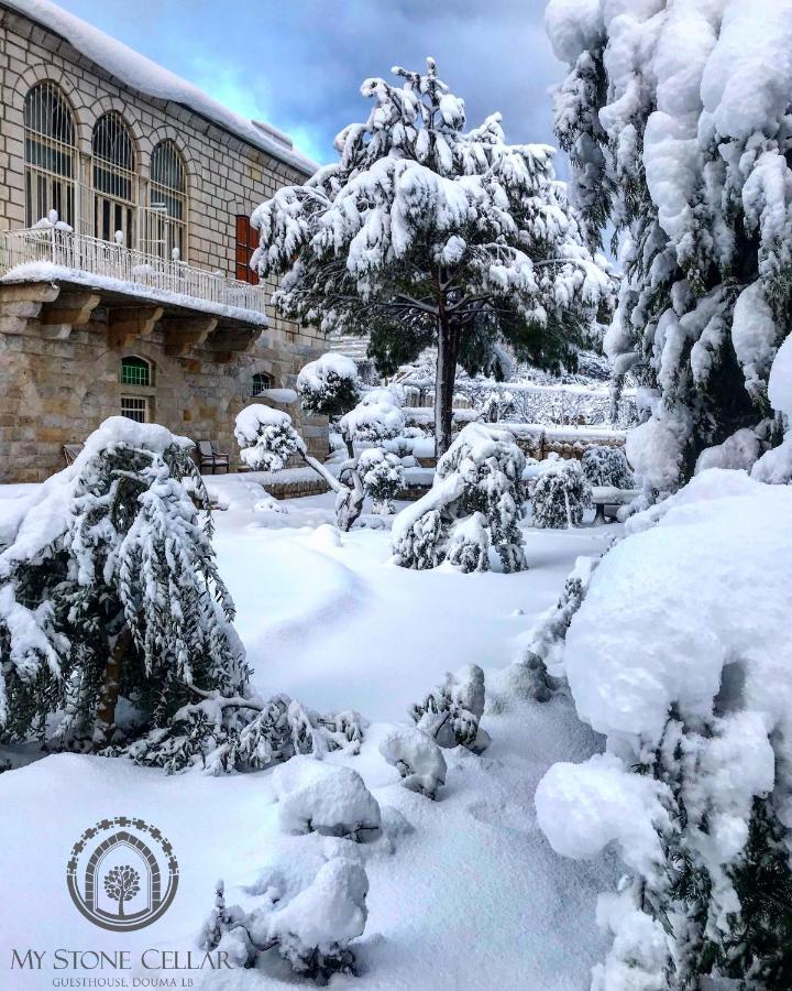 Hotel Stone Cellars à Douma Extérieur photo